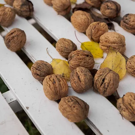 Solbjerggaard Appartement