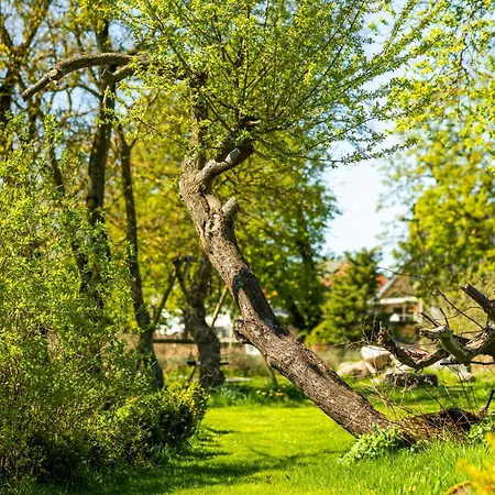 Appartement Solbjerggaard Fåborg