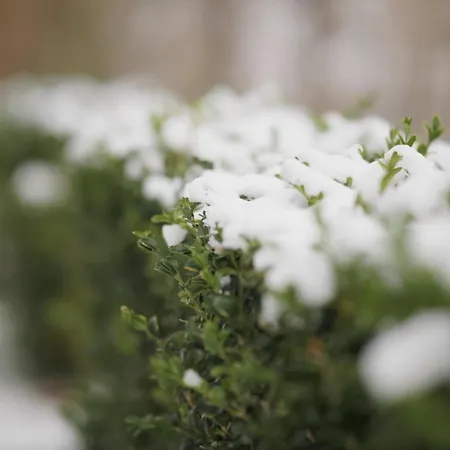 Lejlighed Solbjerggaard *