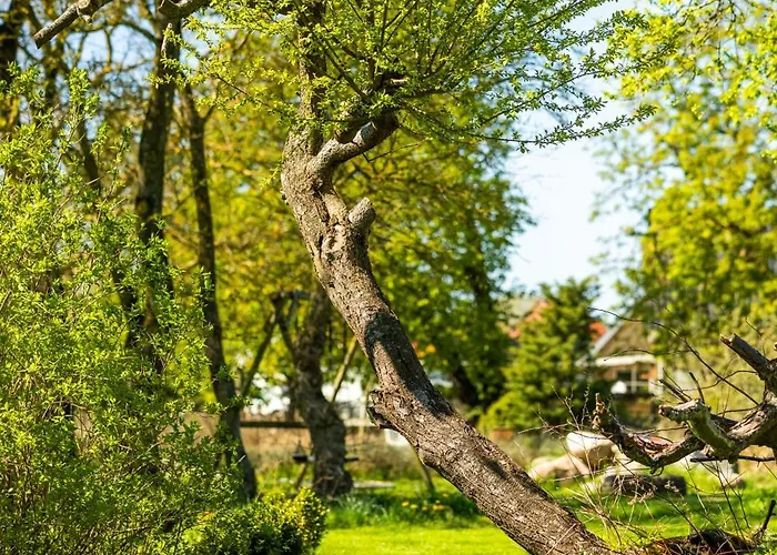 Appartement Solbjerggaard Fåborg